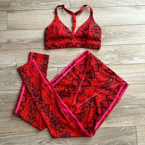 Adidas & Ivy Park Colab Set